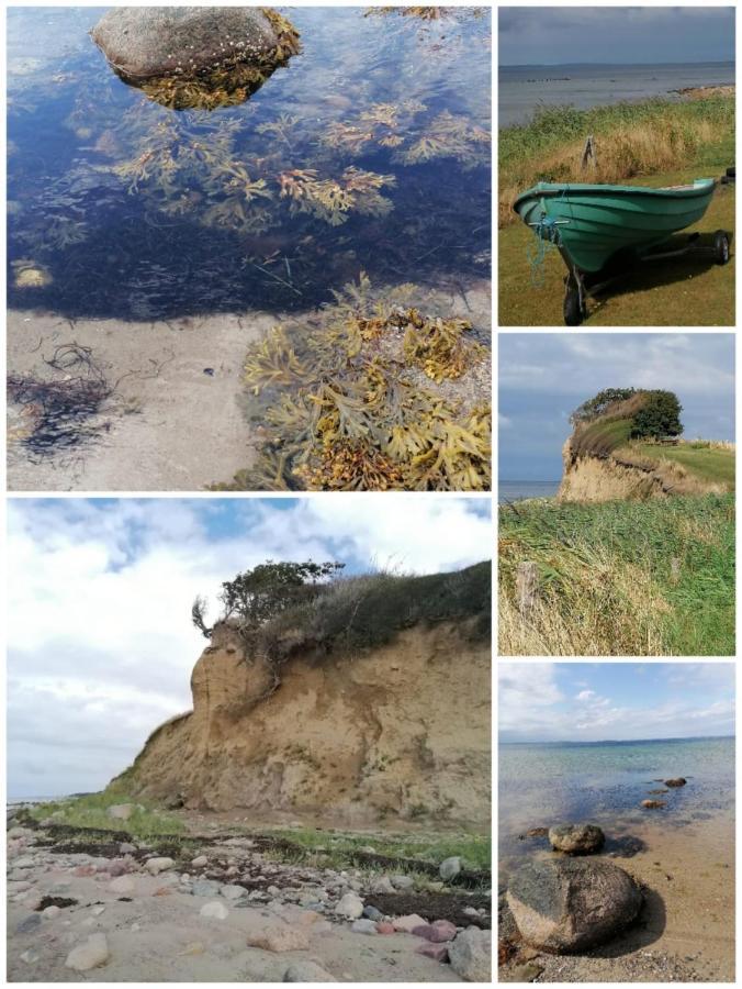 My Home Spodsbjerg Bagian luar foto